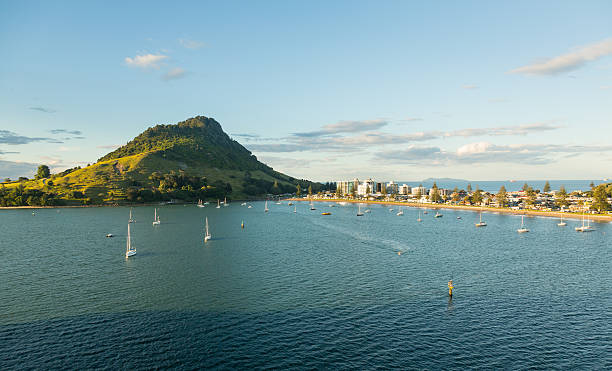 Tauranga_locations