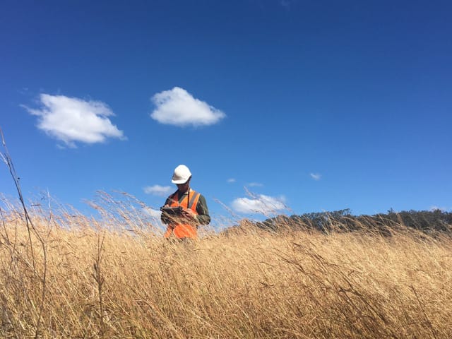 Field Safety - Being Snake aware on the job site: insights from our licensed wildlife handler, Aaron Holmes