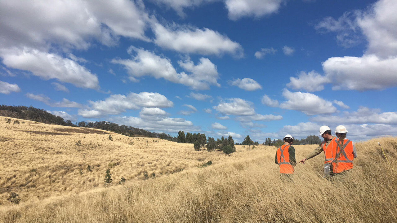 Three people wearing safety vests and helmets standing in tall dry grass