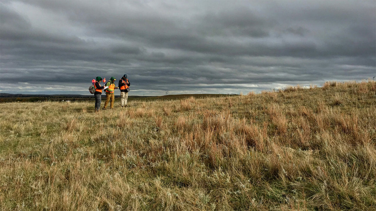 Three people in orange vests standing on a large grassy field