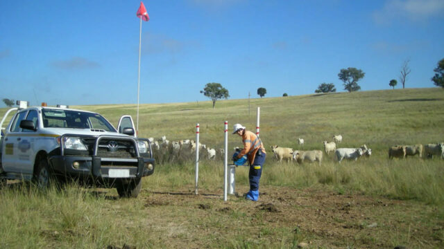 Worker inspecting equipment near white truck in grassy field with grazing sheep in the background