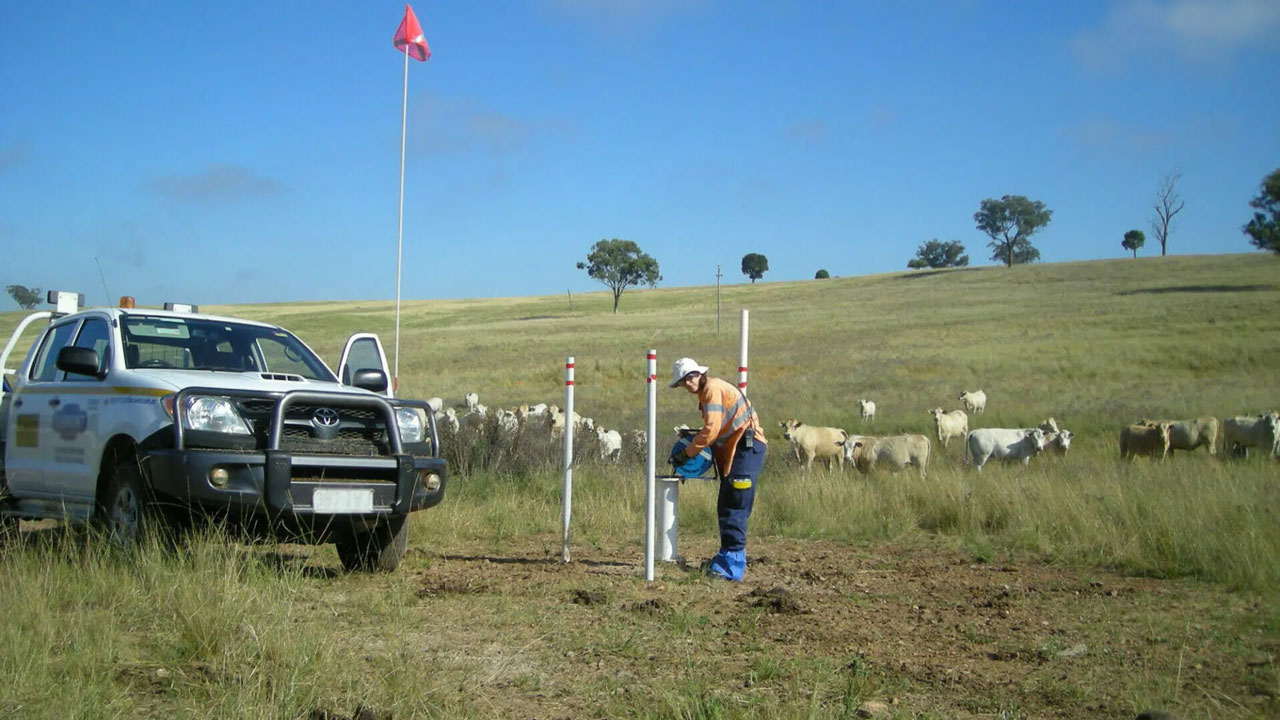 Worker inspecting equipment near white truck in grassy field with grazing sheep in the background
